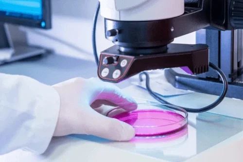 نمایشگاه فناوری‌ آزمایشگاهی و بیوتکنولوژی - شانگهای - چین یاب